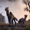 Elder Scrolls Online